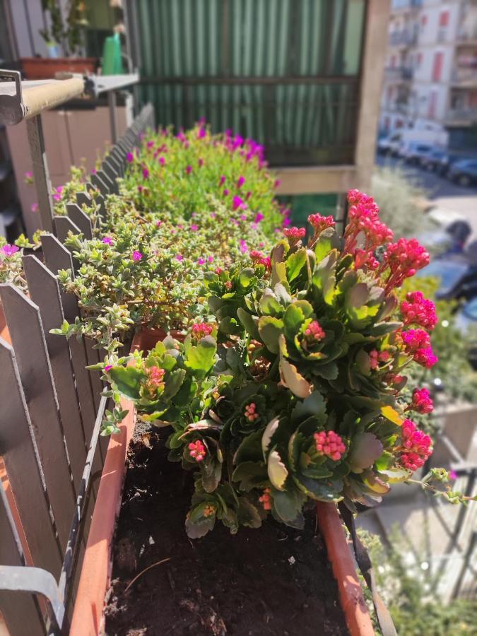 Apartamento La Casa Dei Nonni Roma Exterior foto